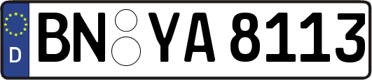 BN-YA8113