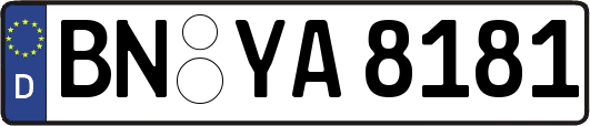 BN-YA8181