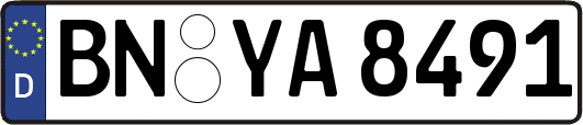BN-YA8491