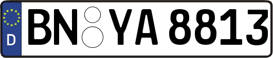 BN-YA8813