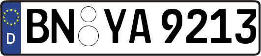 BN-YA9213