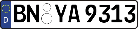 BN-YA9313