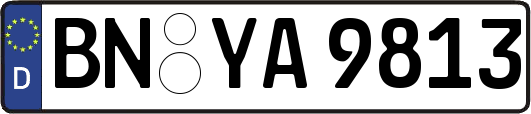 BN-YA9813