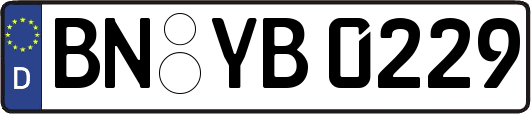 BN-YB0229