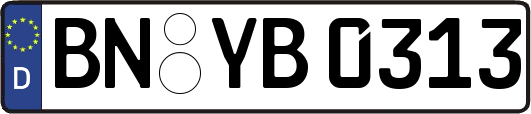 BN-YB0313