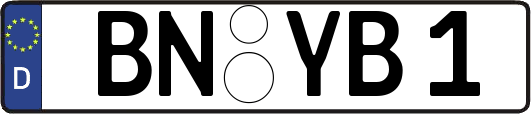 BN-YB1