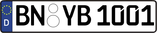 BN-YB1001