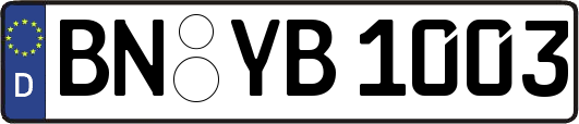 BN-YB1003