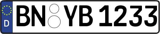 BN-YB1233