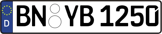 BN-YB1250