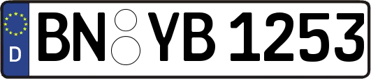 BN-YB1253