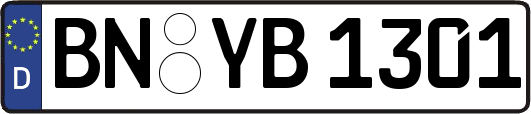 BN-YB1301