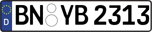 BN-YB2313