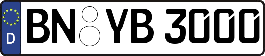 BN-YB3000