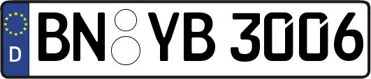 BN-YB3006