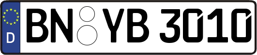 BN-YB3010