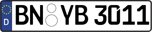BN-YB3011