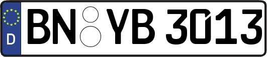 BN-YB3013