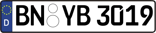 BN-YB3019