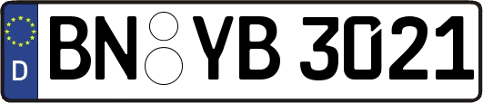 BN-YB3021