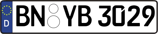 BN-YB3029