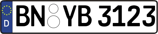 BN-YB3123