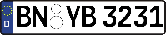 BN-YB3231