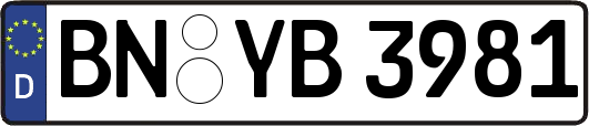 BN-YB3981