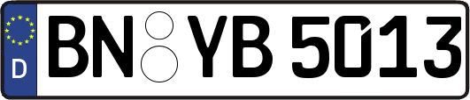 BN-YB5013