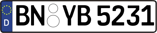 BN-YB5231