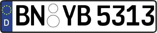 BN-YB5313