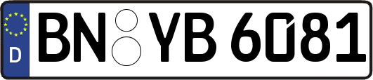 BN-YB6081