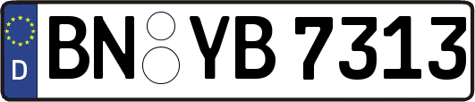 BN-YB7313