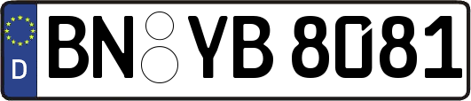 BN-YB8081
