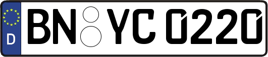 BN-YC0220