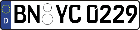 BN-YC0229