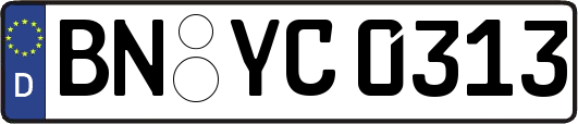 BN-YC0313