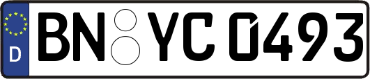 BN-YC0493