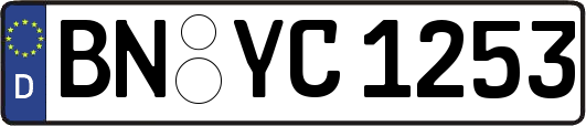 BN-YC1253