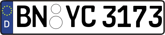 BN-YC3173