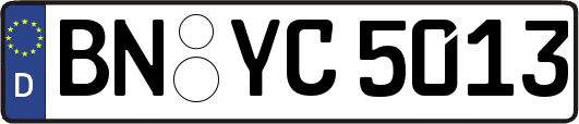 BN-YC5013