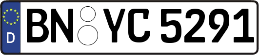 BN-YC5291
