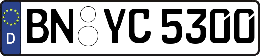 BN-YC5300