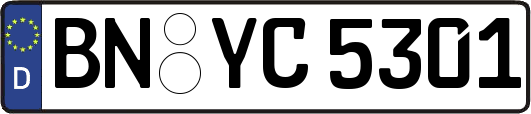 BN-YC5301