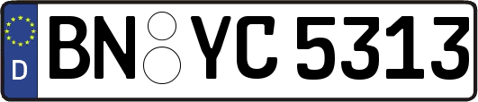 BN-YC5313