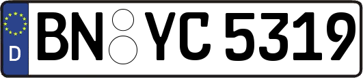BN-YC5319