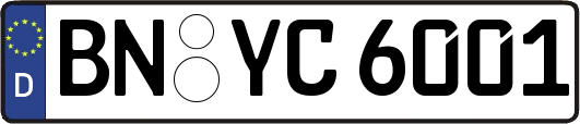 BN-YC6001