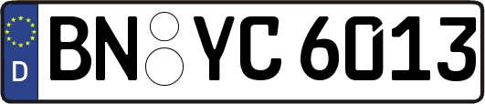 BN-YC6013
