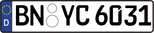 BN-YC6031