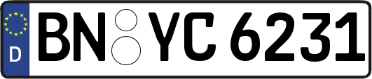 BN-YC6231